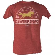 USFL  BHAM STALLIONS2