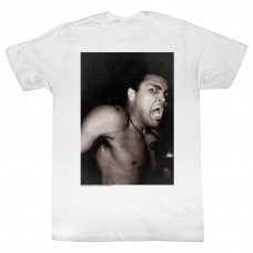 MUHAMMAD ALI WHABAM