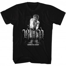 ANDRE THE GIANT  R.I.P.