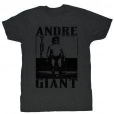 ANDRE THE GIANT  THE GIANT
