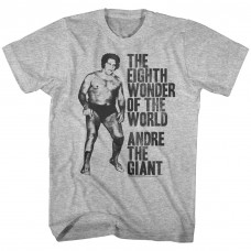 ANDRE THE GIANT  HUGE