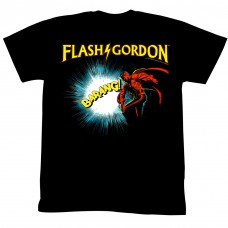 FLASH GORDON  DOIN IT