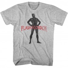 FLASH GORDON  ZANNG?