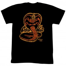 KARATE KID  COBRA KAI