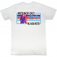 KARATE KID  THE BOXER
