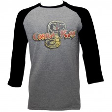 KARATE KID  COBRA