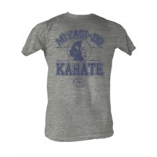 KARATE KID  MIYAGI-DO KARATE