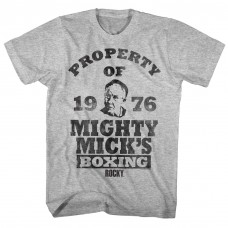 ROCKY  PROPERTY OF